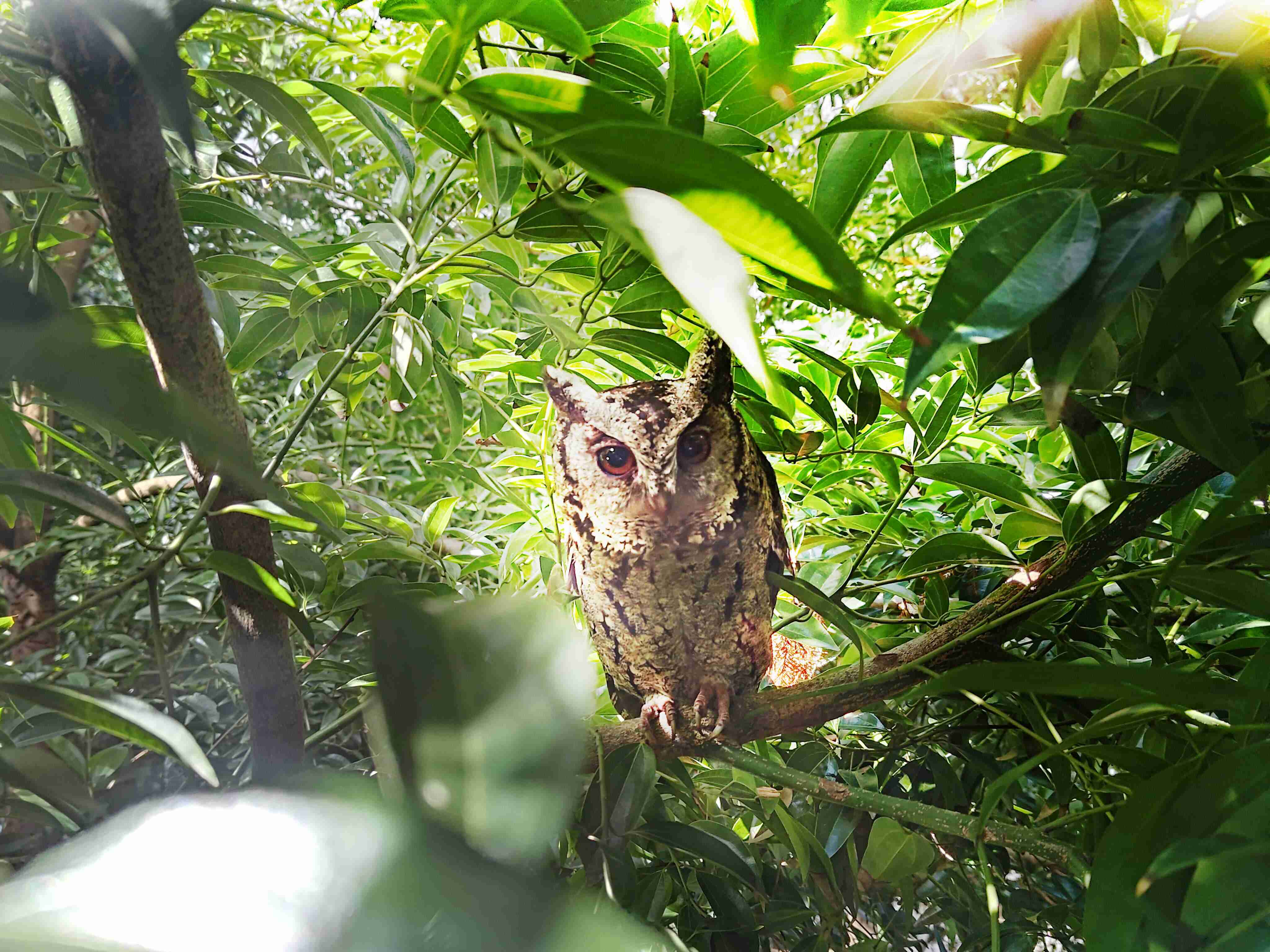 冰球突破致力提倡净零绿生活，，，16年以来在全球各厂区植树逾百万棵，，，，造就各厂区树木蔚然成林，，犹如森林工厂，，，成为许多生物的栖息地